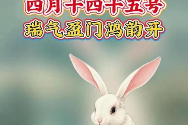 属兔出生最好六个吉日 属兔的出生吉日