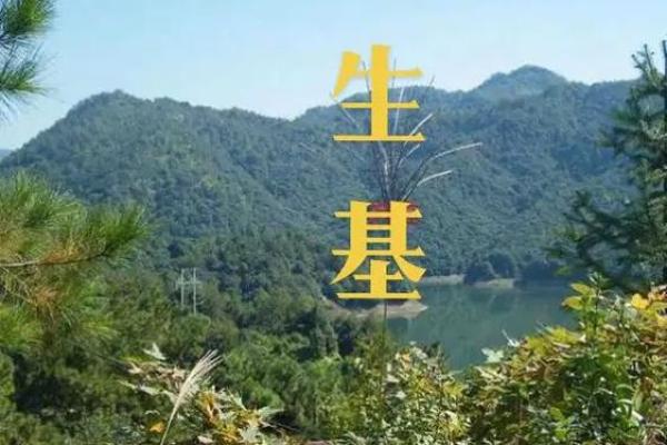 种生基之吉日