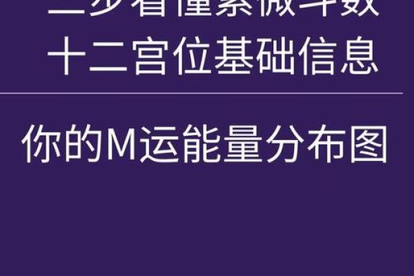 紫薇斗数怎么看主宫