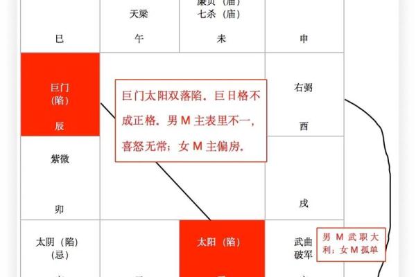 紫薇斗数怎么看主宫