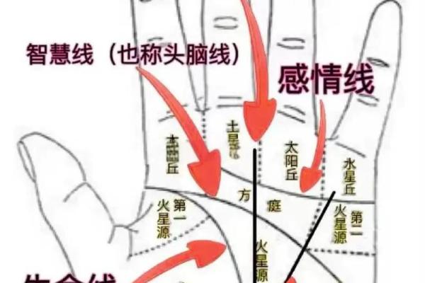 《手相学习百科》：手相看家庭与遗传