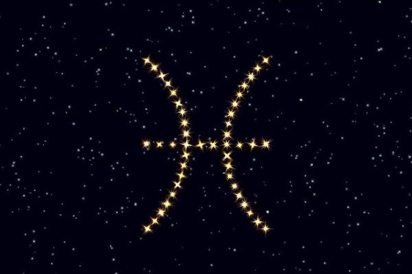 一巴掌打死人的星座有天秤座吗