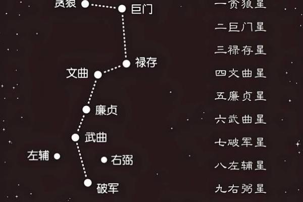 八字巳月