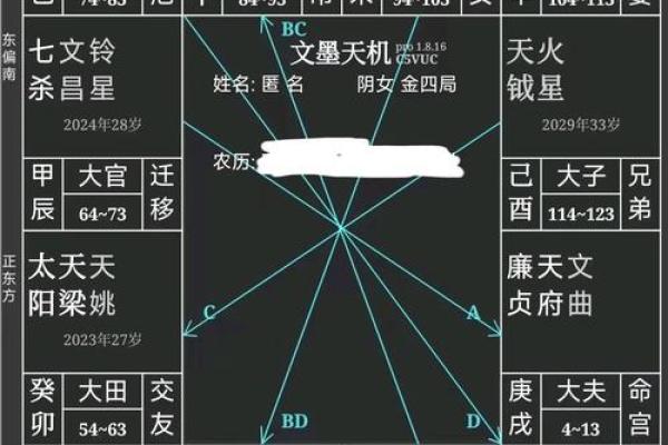 紫薇斗数胆子小