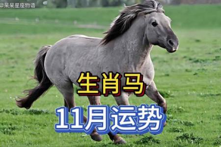 2024年54岁属马的人事业运如何？属马2024年开运方位？