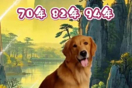 属狗的女孩出生吉日 属狗女最好命的出生日子