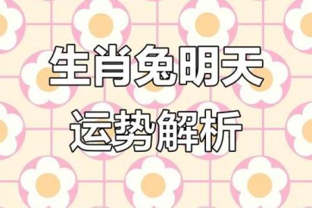 属兔出生最好六个吉日 属兔的出生吉日