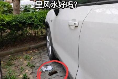 水管风水_地下车位后面有水管带来哪些影响