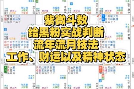 紫薇斗数免费测算财运