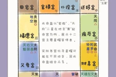 紫薇斗数身宫在哪
