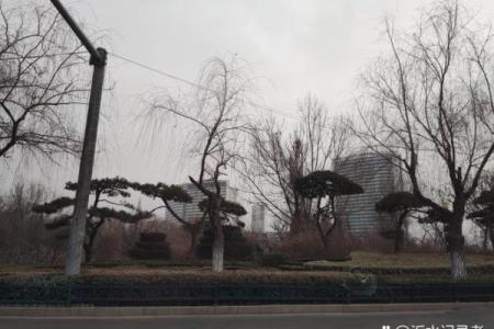 山东临沂算命的地方叫什么