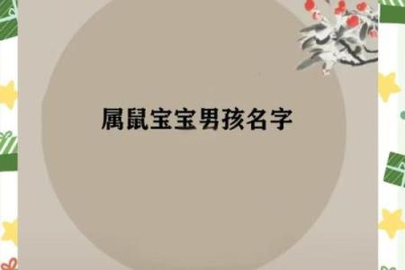 属鼠卯时出生的男孩取名的小诀窍姓名