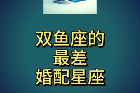 狮子座双鱼配对合适吗