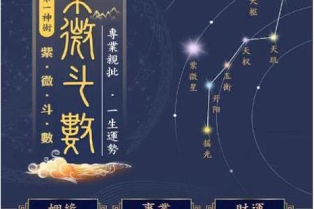 紫薇斗数原盘