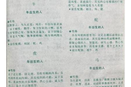 肖鼠者不同血型有哪些优势