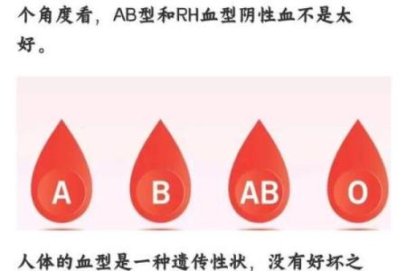 为什么说ab血型最聪明