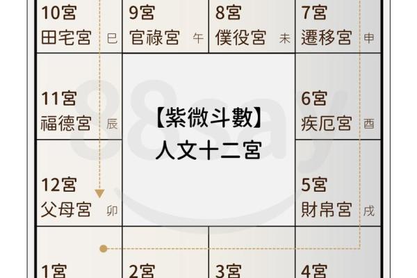 紫薇斗数的太阴