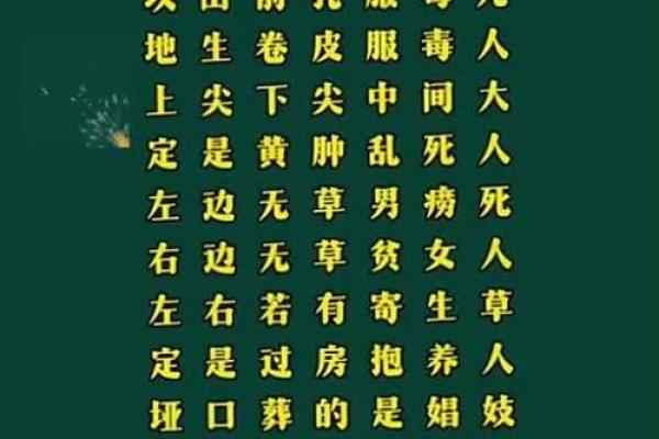如何看坟地风水