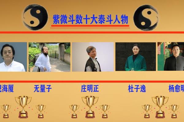 欢迎补充#紫薇斗数