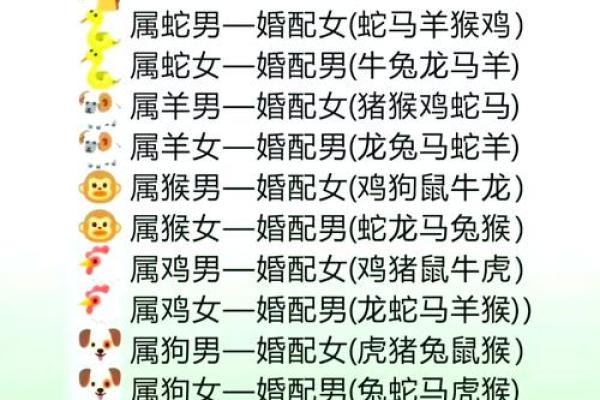 龙生肖配对大揭秘，十二生肖知识详解