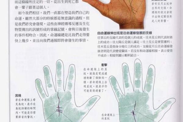 《手相学习百科》：手相重要辅线