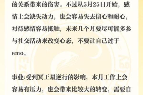 処女座今日星座运势