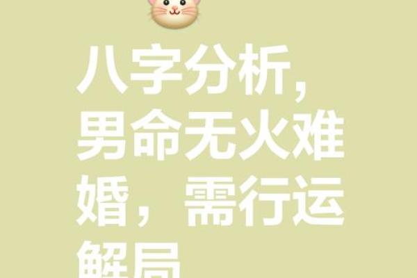 八字命理 - 你命中缺什么，就会有何种不顺