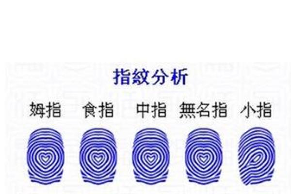 看指纹算命