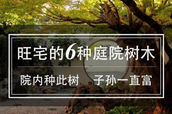 大门正确栽树方位，农村大门口栽树有讲究吗？
