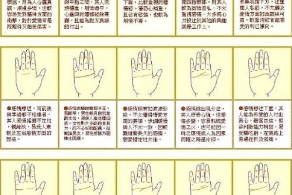 手相指纹算命图解
