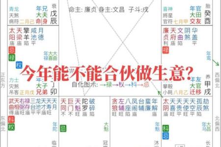 欢迎补充#紫薇斗数