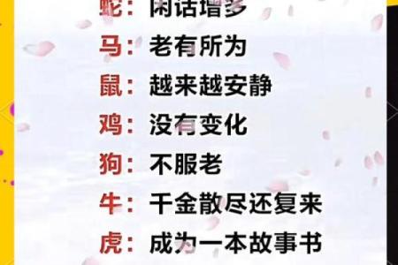 龙生肖配对大揭秘，十二生肖知识详解