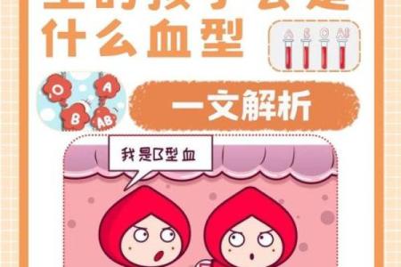各血型能生出什么血型BB