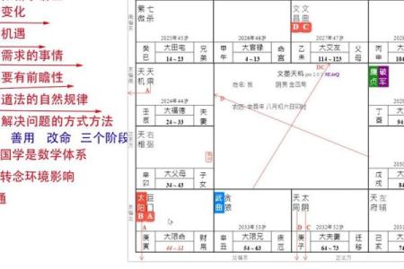 紫薇斗数正格