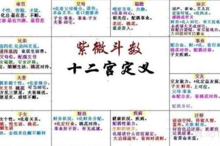 紫微斗数诸星落诸宫之：太阳星官禄宫详解