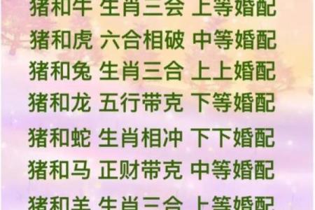 分析八字看配偶属相