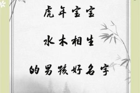 2019年处暑出生缺木男孩名字赏析姓名