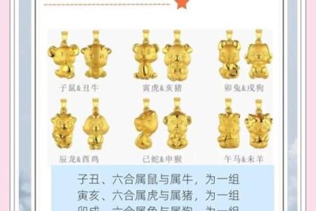 63年属什么生肖配对
