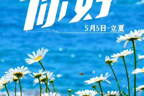 5月5日是什么节日