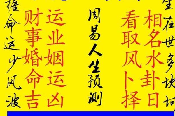看命运八字算命