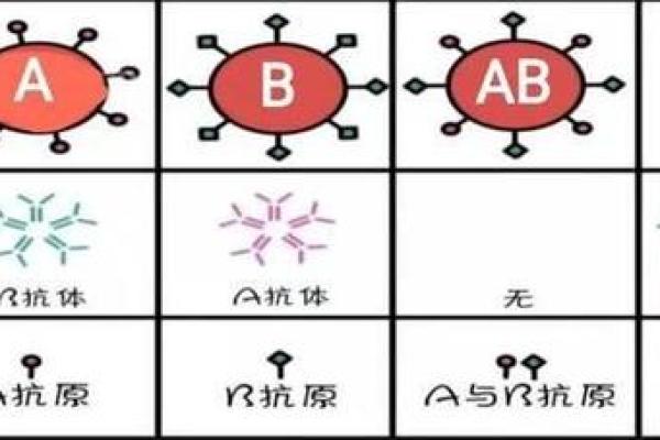 成功人士最多的血型