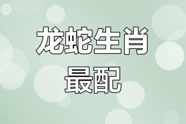 属蛇人配对姻缘
