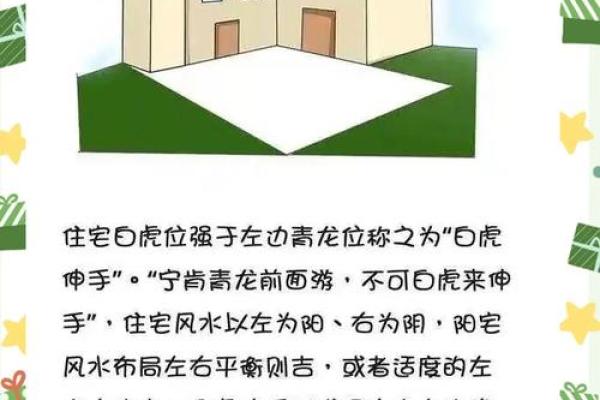 白虎在八字中代表什么意思 白虎八字代表何意