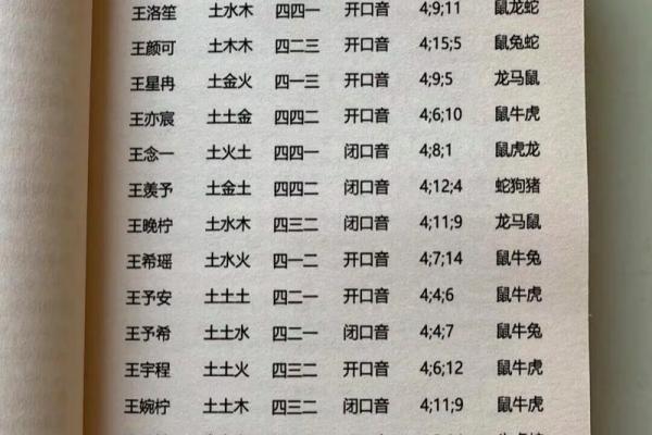 王姓男孩名字大全-王姓男孩起名字大全-王姓名字大全姓名