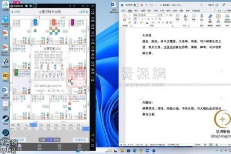 电脑紫薇斗数软件