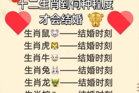 生肖运势爱情星座大揭秘