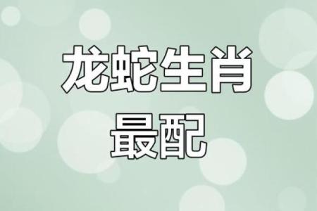 属蛇人配对姻缘