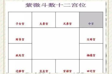 紫微斗数女生看什么宫位 紫微斗数看女命？