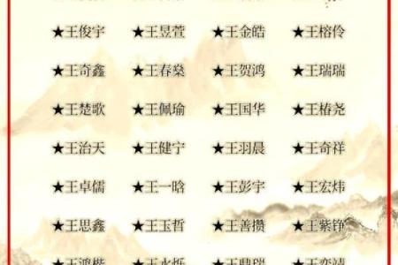 王姓男孩名字大全-王姓男孩起名字大全-王姓名字大全姓名