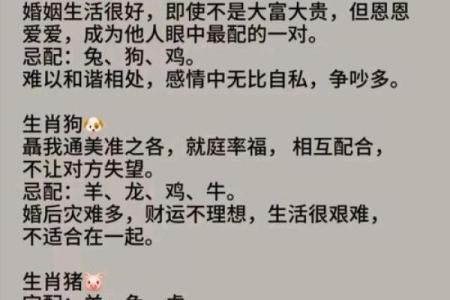 狗的属相配对婚配表